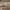 https://res.cloudinary.com/billionhands/image/upload/v1768469490/items/payuy1e4i1c3pvnt0sum.jpg-2cover