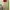https://res.cloudinary.com/billionhands/image/upload/v1768469508/items/jxx3eq6uqntlawwmoq2f.jpg-2cover