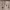 https://res.cloudinary.com/billionhands/image/upload/v1768469534/items/yns5ro5vto1snc1a15bz.webp-0cover