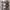 https://res.cloudinary.com/billionhands/image/upload/v1768469987/items/vkzzizslnd4wwxqkniyg.jpg-3cover