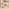 https://res.cloudinary.com/billionhands/image/upload/v1768469992/items/gwdnwi2a5h8g6vdufsyh.jpg-3cover