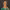 https://res.cloudinary.com/billionhands/image/upload/v1768472779/items/gxqgf94iebevgmkfuae7.jpg-0cover