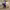 https://res.cloudinary.com/billionhands/image/upload/v1768477211/items/ozhcqc4q98jtamuurttw.jpg-1cover