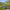 https://res.cloudinary.com/billionhands/image/upload/v1768480704/items/tiifhpd7zin4buw7kwqw.jpg-0cover