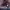 https://res.cloudinary.com/billionhands/image/upload/v1768481113/items/jedo2nb06f2xflgmvd2j.jpg-2cover