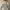 https://res.cloudinary.com/billionhands/image/upload/v1768492884/items/nhcnludube1lmwmrgoso.jpg-0cover