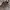 https://res.cloudinary.com/billionhands/image/upload/v1768492919/items/eqigqw5lnfsfq6mxdbo2.jpg-2cover