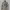 https://res.cloudinary.com/billionhands/image/upload/v1768492982/items/imikossobqtob0ct0o1y.webp-2cover