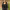 https://res.cloudinary.com/billionhands/image/upload/v1768492985/items/rsvaqi4pginbbuaywlfi.webp-3cover