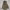 https://res.cloudinary.com/billionhands/image/upload/v1768493002/items/wtll6vrgwcf86kedly1s.avif-2cover