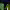 https://res.cloudinary.com/billionhands/image/upload/v1768493003/items/yyxtj4pzuztdo9fymkji.webp-0cover
