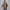 https://res.cloudinary.com/billionhands/image/upload/v1768493009/items/bfwpz2cbr4pnqrhfvkvp.avif-3cover