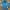 https://res.cloudinary.com/billionhands/image/upload/v1768493009/items/fhzutzdqv9eaacdrtzgo.jpg-3cover
