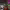 https://res.cloudinary.com/billionhands/image/upload/v1768553307/items/jfacewcontuztmdwwb3v.png-1cover
