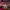 https://res.cloudinary.com/billionhands/image/upload/v1768567160/items/eekxnvrnyznvp8zuvlwa.webp-2cover