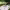 https://res.cloudinary.com/billionhands/image/upload/v1768768571/items/jvcp5v1t5za9upzcxlq5.webp-1cover