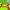 https://res.cloudinary.com/billionhands/image/upload/v1768768571/items/obcshuhxphspu4sndatg.png-0cover