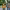 https://res.cloudinary.com/billionhands/image/upload/v1768768579/items/lwdrh5tcrsj7jrdegqsf.jpg-2cover