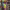 https://res.cloudinary.com/billionhands/image/upload/v1768768641/items/kcvivetfgrjnej8ss54h.jpg-2cover