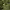 https://res.cloudinary.com/billionhands/image/upload/v1768768643/items/eqkfaqk3qzjovyyqz0bw.avif-3cover