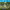 https://res.cloudinary.com/billionhands/image/upload/v1768768704/items/e61hjqcsamjhibfqpm5g.jpg-3cover