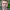 https://res.cloudinary.com/billionhands/image/upload/v1768820271/items/kbyp1hyy4c1mqte6qo1s.jpg-0cover