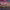 https://res.cloudinary.com/billionhands/image/upload/v1768822614/items/txnnbpgishy3pzbcpqrd.webp-0cover