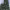 Bosco Verticale cover