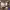 https://res.cloudinary.com/billionhands/image/upload/v1768833407/items/xzgbxl5zbgdzzzpjrle9.jpg-3cover