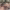 https://res.cloudinary.com/billionhands/image/upload/v1768839109/items/vd0f3wucdskfemtfxutn.jpg-0cover