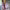 https://res.cloudinary.com/billionhands/image/upload/v1768839109/items/wziee42xc4vwgjtbgdbx.jpg-0cover