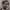 https://res.cloudinary.com/billionhands/image/upload/v1768839111/items/k0hukrmtdn5gerleo7nh.jpg-0cover