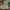 https://res.cloudinary.com/billionhands/image/upload/v1768839111/items/of4zlkryi1e99zpmxafg.jpg-3cover