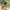 https://res.cloudinary.com/billionhands/image/upload/v1768892047/items/czvsehbe8hpbzgflkujp.avif-2cover