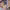 https://res.cloudinary.com/billionhands/image/upload/v1768892048/items/ucav9lavfxsmgcrjnnuk.webp-0cover