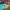 https://res.cloudinary.com/billionhands/image/upload/v1768905309/items/wc9ikxcmvq3pnmxweu2x.jpg-0cover