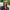 https://res.cloudinary.com/billionhands/image/upload/v1768925653/items/ws3xtx1y9xsrkitxquhc.webp-3cover