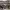 https://res.cloudinary.com/billionhands/image/upload/v1768986384/items/dctqlowzsftbaxm6vpij.webp-0cover