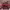 https://res.cloudinary.com/billionhands/image/upload/v1768991949/items/hhgf4gdqw2jejmovpuzn.png-2cover