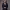 https://res.cloudinary.com/billionhands/image/upload/v1769011037/items/xmunq11gpaywqkvdzpxn.jpg-3cover