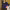https://res.cloudinary.com/billionhands/image/upload/v1769066738/items/tvucr6rde0tudbl1ou61.webp-1cover