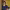 https://res.cloudinary.com/billionhands/image/upload/v1769066740/items/kkdiiajmntpwm9gls8vi.jpg-3cover