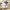 https://res.cloudinary.com/billionhands/image/upload/v1769066803/items/mviydx94mc7brpeledju.jpg-1cover