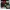 https://res.cloudinary.com/billionhands/image/upload/v1769066821/items/hpmcgfmyap3fkgmhcvzm.png-3cover
