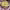 https://res.cloudinary.com/billionhands/image/upload/v1769080697/items/pyhpxh0jhnjbmxss15ix.jpg-1cover