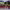 https://res.cloudinary.com/billionhands/image/upload/v1769081820/items/i2nmk0micfgtei0vwpbq.avif-2cover