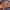 https://res.cloudinary.com/billionhands/image/upload/v1769098035/items/b4afwmjftedo0osnj6fa.avif-0cover