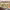 https://res.cloudinary.com/billionhands/image/upload/v1769098036/items/vgodyjofe4mbfdhkwyor.jpg-2cover