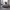https://res.cloudinary.com/billionhands/image/upload/v1769098037/items/xc7ocqrioeqqxvljrj7x.jpg-2cover