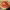 https://res.cloudinary.com/billionhands/image/upload/v1769098042/items/ct28q9lw3nbmv16gpt5j.jpg-2cover